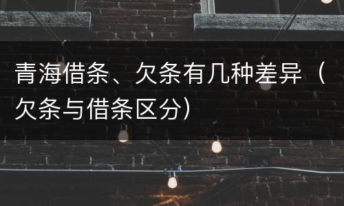 青海借条、欠条有几种差异（欠条与借条区分）