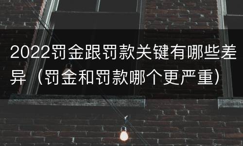 2022罚金跟罚款关键有哪些差异（罚金和罚款哪个更严重）