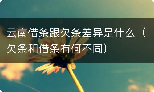 云南借条跟欠条差异是什么（欠条和借条有何不同）