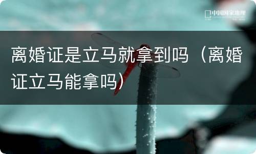 离婚证是立马就拿到吗（离婚证立马能拿吗）