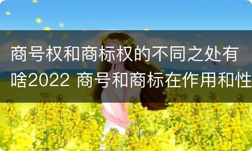 商号权和商标权的不同之处有啥2022 商号和商标在作用和性质上的区别