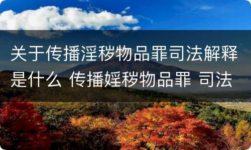 关于传播淫秽物品罪司法解释是什么 传播婬秽物品罪 司法解释