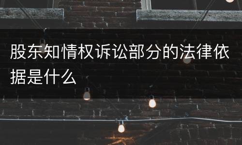 股东知情权诉讼部分的法律依据是什么