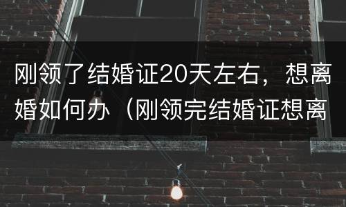 刚领了结婚证20天左右，想离婚如何办（刚领完结婚证想离婚怎么办）