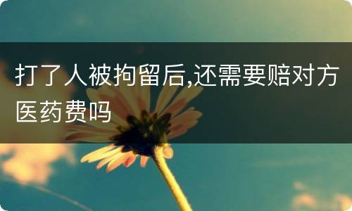 打了人被拘留后,还需要赔对方医药费吗