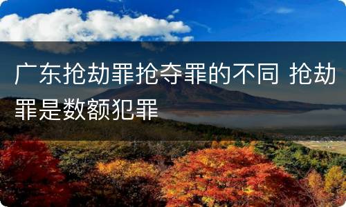 广东抢劫罪抢夺罪的不同 抢劫罪是数额犯罪