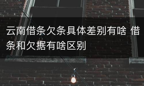 云南借条欠条具体差别有啥 借条和欠据有啥区别