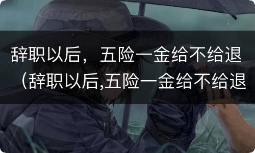 辞职以后，五险一金给不给退（辞职以后,五险一金给不给退钱）