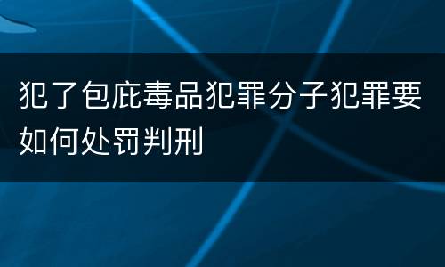 犯了包庇毒品犯罪分子犯罪要如何处罚判刑