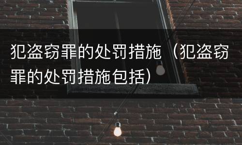 犯盗窃罪的处罚措施（犯盗窃罪的处罚措施包括）