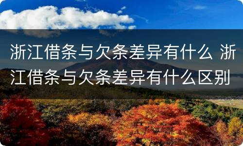 浙江借条与欠条差异有什么 浙江借条与欠条差异有什么区别