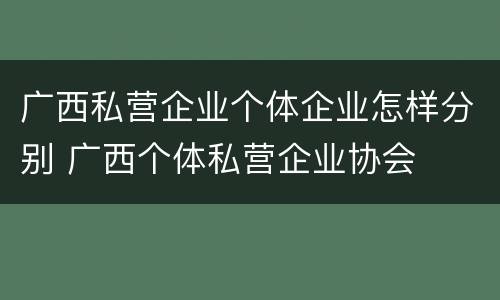 广西私营企业个体企业怎样分别 广西个体私营企业协会