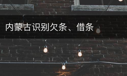 内蒙古识别欠条、借条