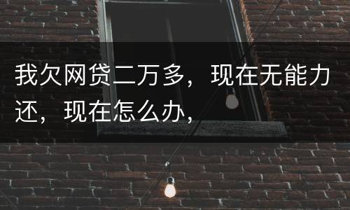 我欠网贷二万多，现在无能力还，现在怎么办，
