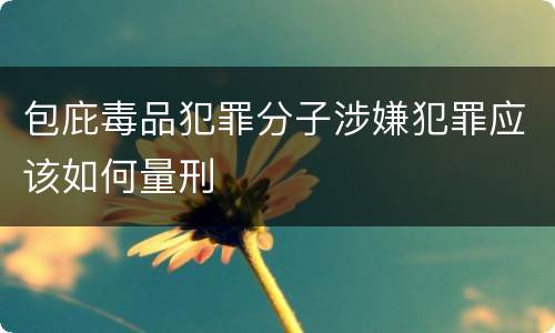 包庇毒品犯罪分子涉嫌犯罪应该如何量刑