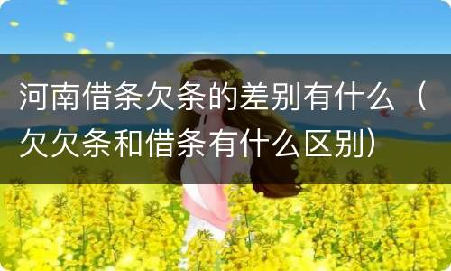 河南借条欠条的差别有什么（欠欠条和借条有什么区别）