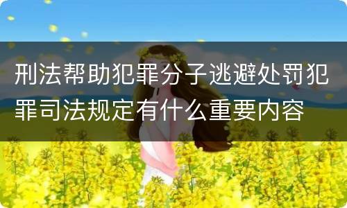 刑法帮助犯罪分子逃避处罚犯罪司法规定有什么重要内容