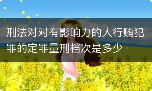 刑法对对有影响力的人行贿犯罪的定罪量刑档次是多少