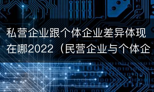私营企业跟个体企业差异体现在哪2022（民营企业与个体企业的区别）