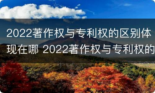 2022著作权与专利权的区别体现在哪 2022著作权与专利权的区别体现在哪里