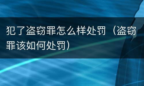 犯了盗窃罪怎么样处罚（盗窃罪该如何处罚）