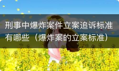 刑事中爆炸案件立案追诉标准有哪些（爆炸案的立案标准）
