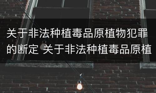 关于非法种植毒品原植物犯罪的断定 关于非法种植毒品原植物犯罪的断定