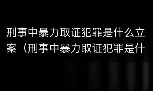 刑事中暴力取证犯罪是什么立案（刑事中暴力取证犯罪是什么立案条件）