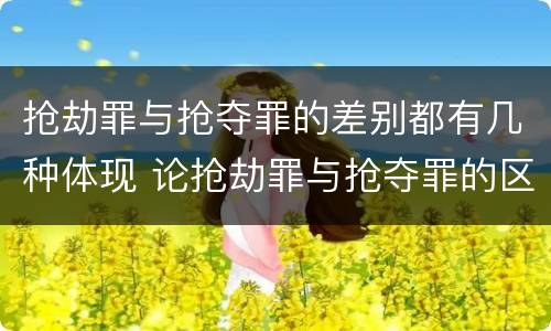 抢劫罪与抢夺罪的差别都有几种体现 论抢劫罪与抢夺罪的区别
