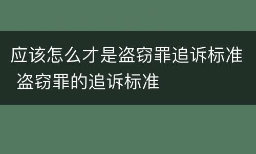 应该怎么才是盗窃罪追诉标准 盗窃罪的追诉标准