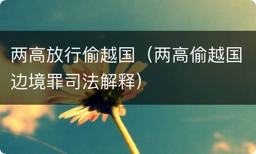 两高放行偷越国（两高偷越国边境罪司法解释）