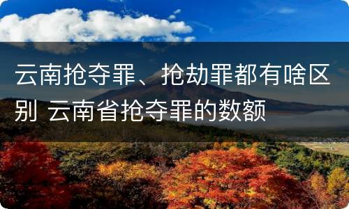 云南抢夺罪、抢劫罪都有啥区别 云南省抢夺罪的数额
