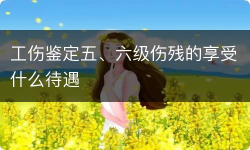 工伤鉴定五、六级伤残的享受什么待遇