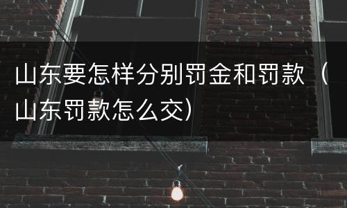 山东要怎样分别罚金和罚款（山东罚款怎么交）
