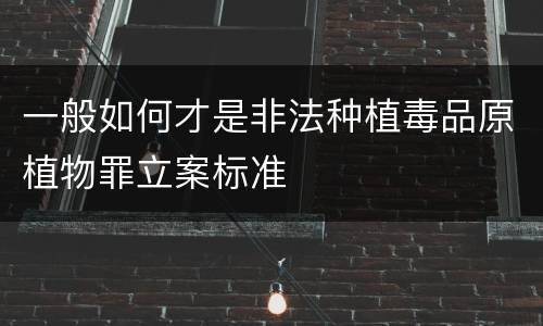 一般如何才是非法种植毒品原植物罪立案标准