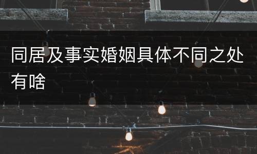 同居及事实婚姻具体不同之处有啥