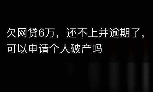 欠网贷6万，还不上并逾期了，可以申请个人破产吗