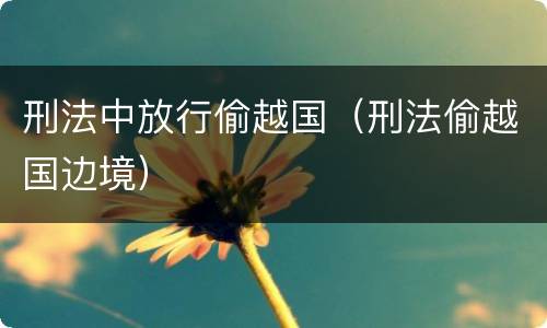 刑法中放行偷越国（刑法偷越国边境）