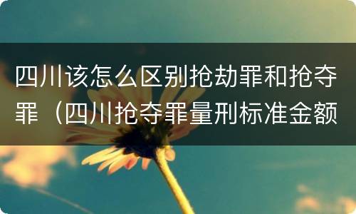四川该怎么区别抢劫罪和抢夺罪（四川抢夺罪量刑标准金额）