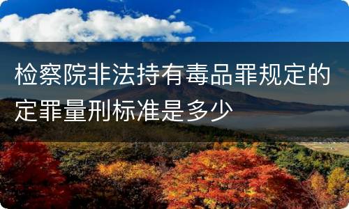 检察院非法持有毒品罪规定的定罪量刑标准是多少