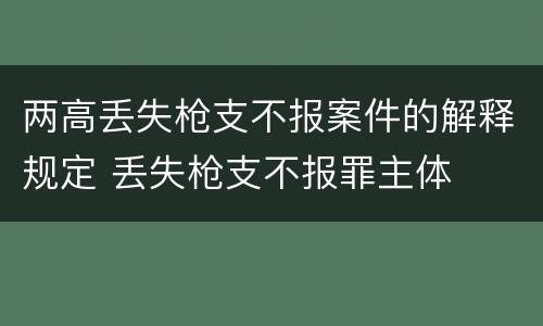 两高丢失枪支不报案件的解释规定 丢失枪支不报罪主体