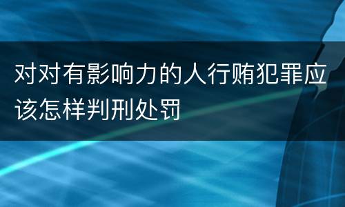 对对有影响力的人行贿犯罪应该怎样判刑处罚