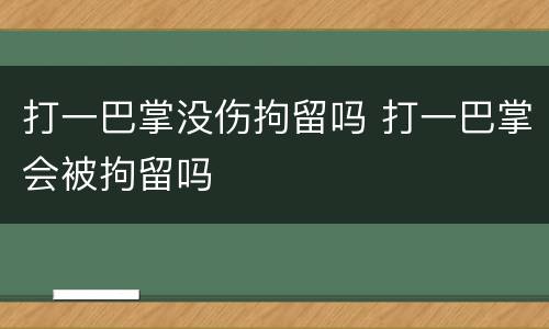 打一巴掌没伤拘留吗 打一巴掌会被拘留吗