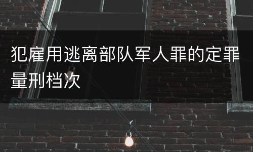 犯雇用逃离部队军人罪的定罪量刑档次