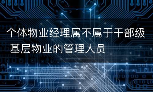 个体物业经理属不属于干部级 基层物业的管理人员