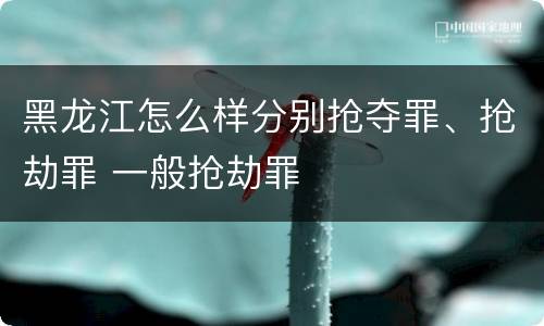 黑龙江怎么样分别抢夺罪、抢劫罪 一般抢劫罪