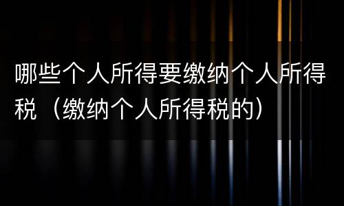 哪些个人所得要缴纳个人所得税（缴纳个人所得税的）