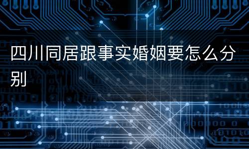 四川同居跟事实婚姻要怎么分别
