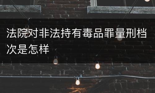 法院对非法持有毒品罪量刑档次是怎样