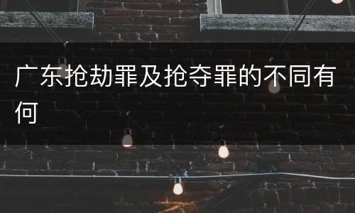 广东抢劫罪及抢夺罪的不同有何
